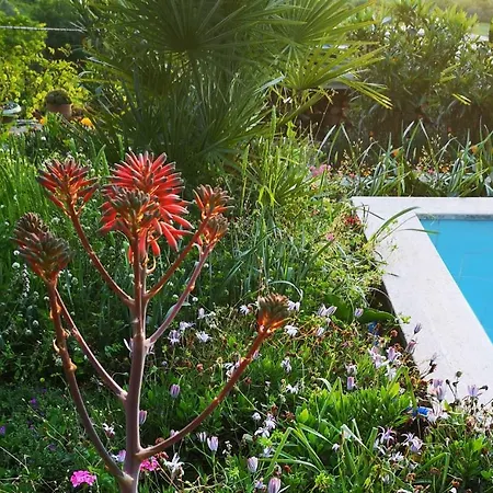 Casa Belle Vacanze Σπίτι διακοπών *